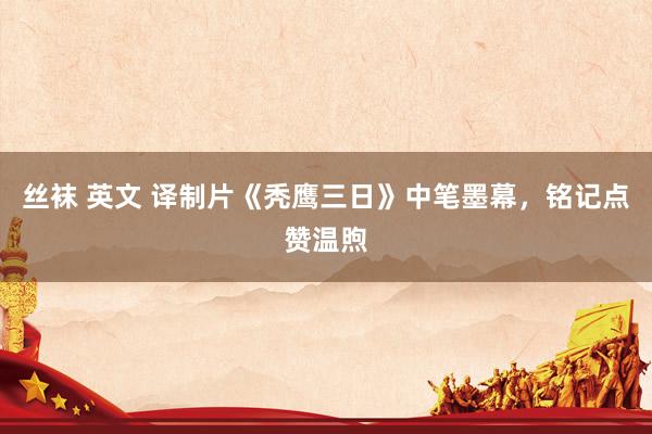 丝袜 英文 译制片《秃鹰三日》中笔墨幕，铭记点赞温煦